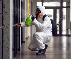 Best Mold Odor Removal Services  in Colon, MI